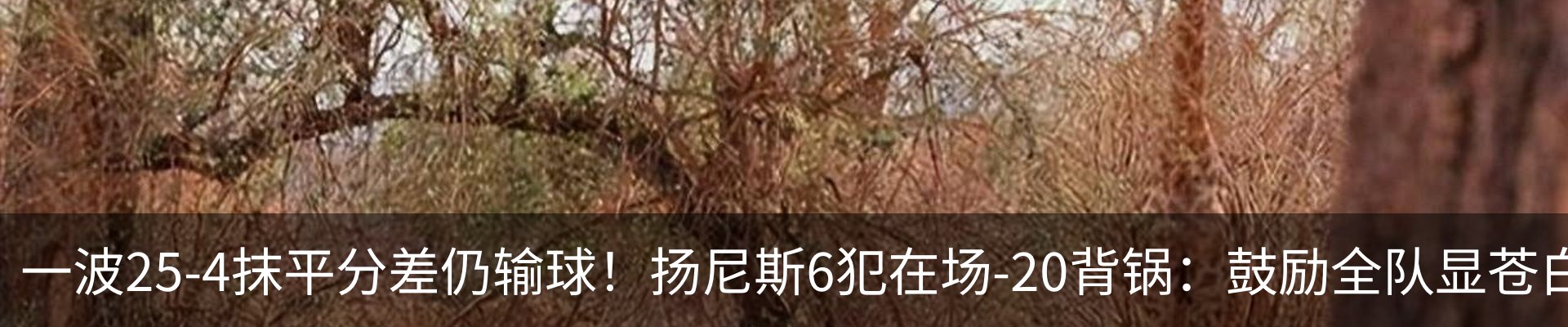 最新动态