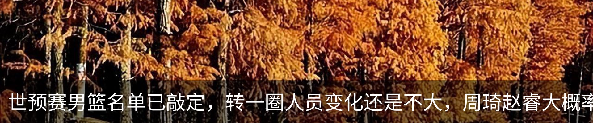 最新动态