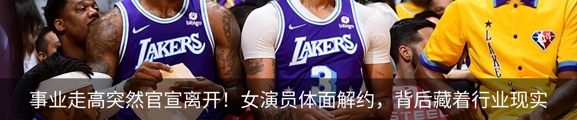 最新动态