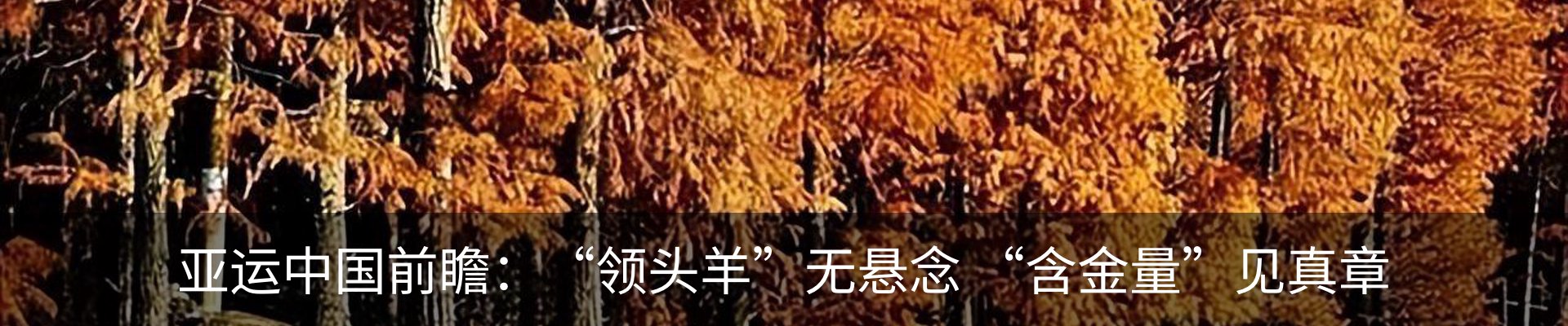 最新动态