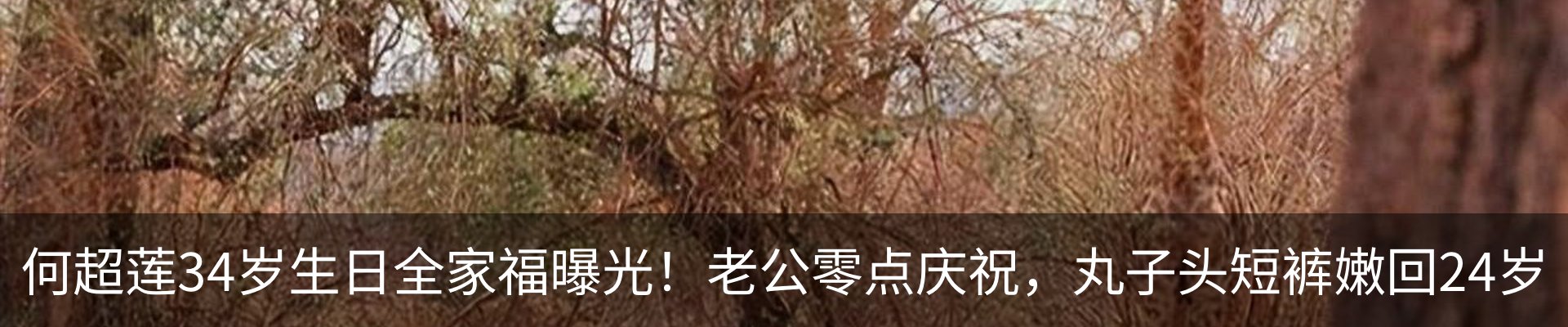 最新动态