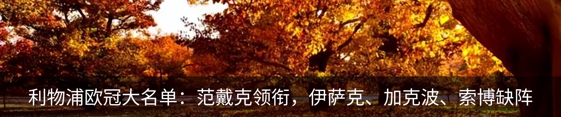 最新动态