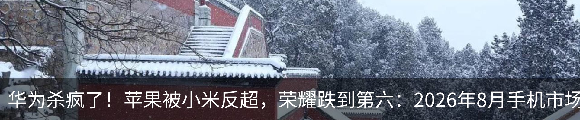最新动态