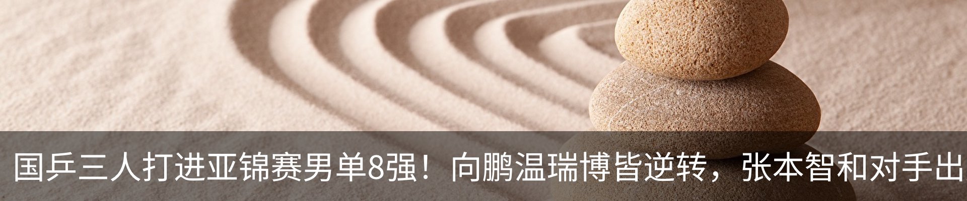 最新动态