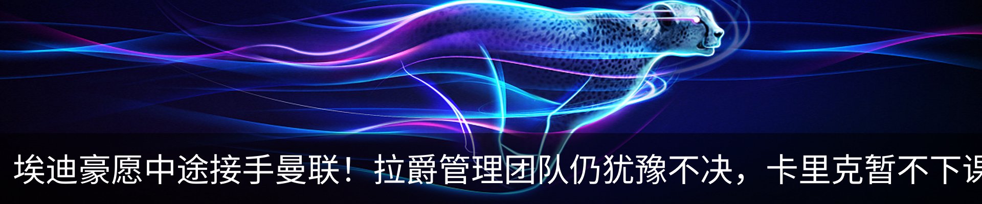 最新动态