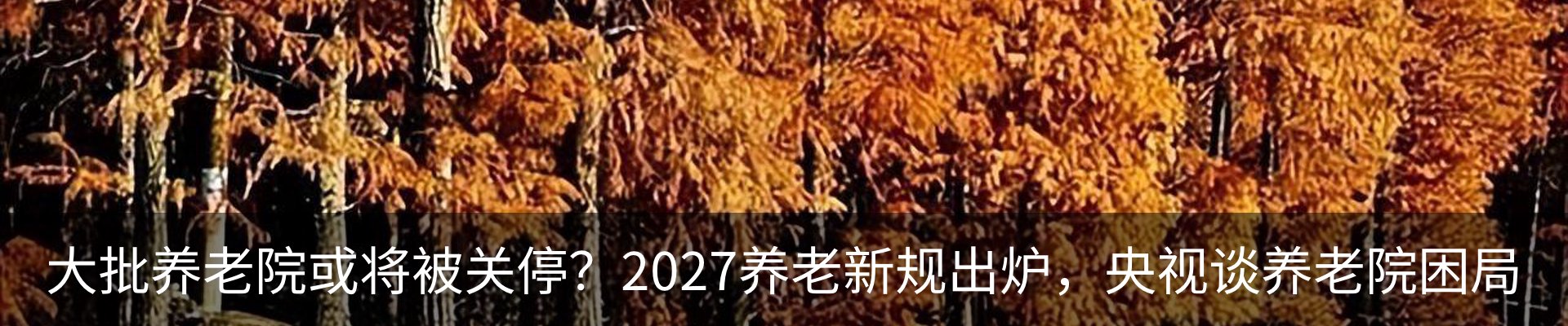 最新动态