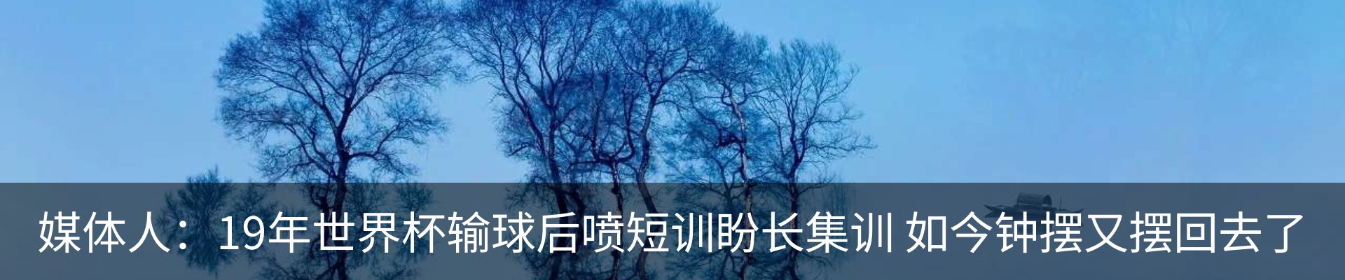 最新动态