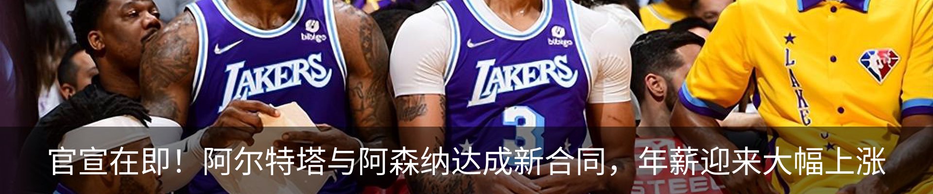 最新动态