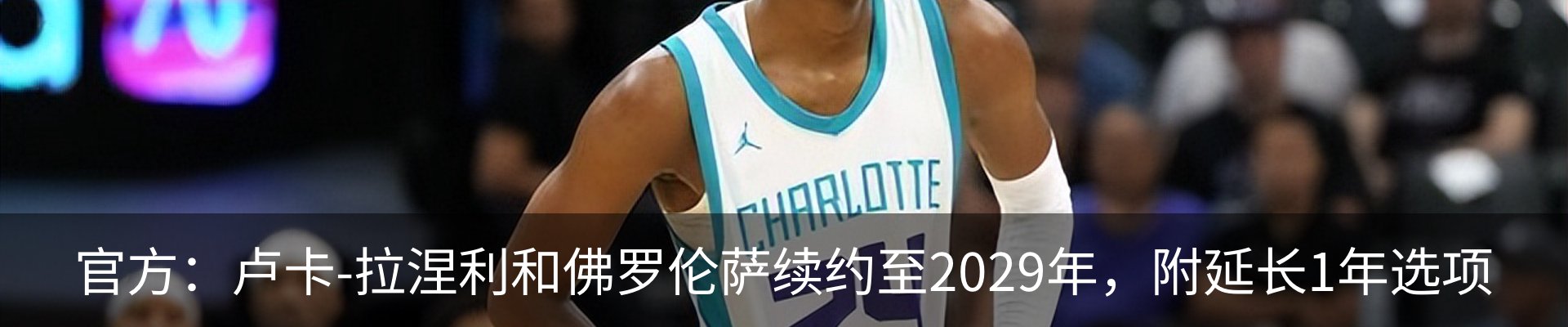 最新动态