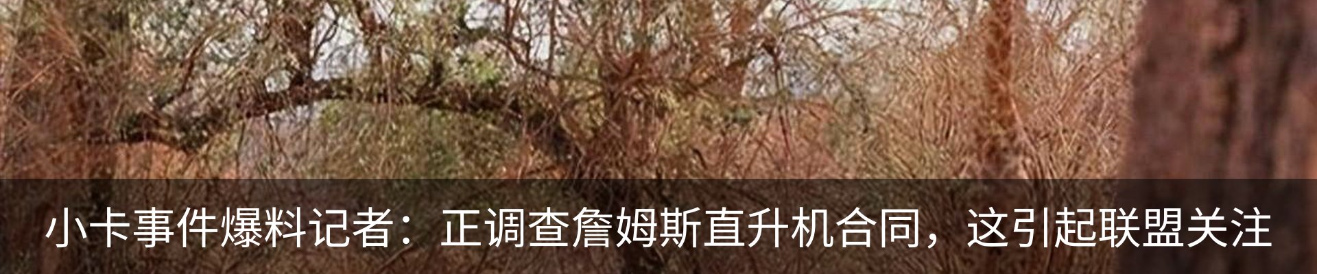 最新动态