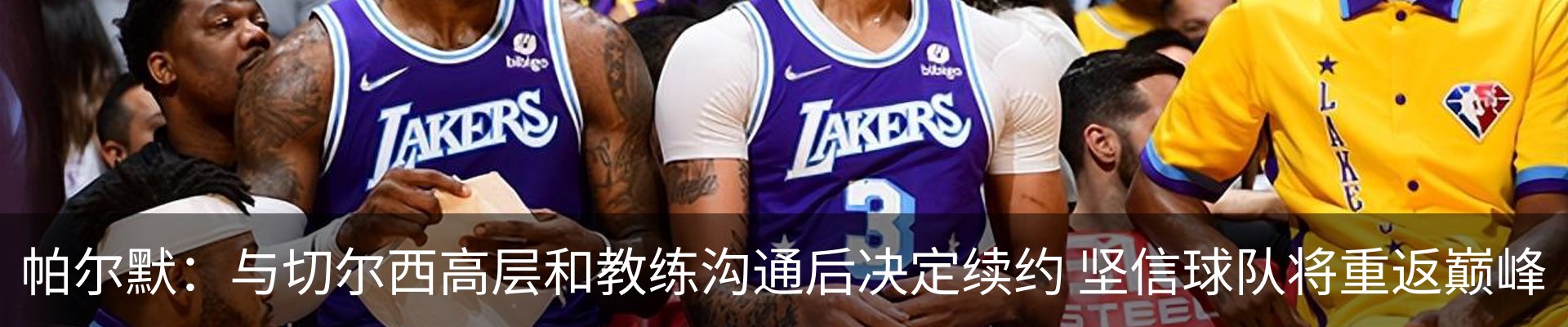 最新动态