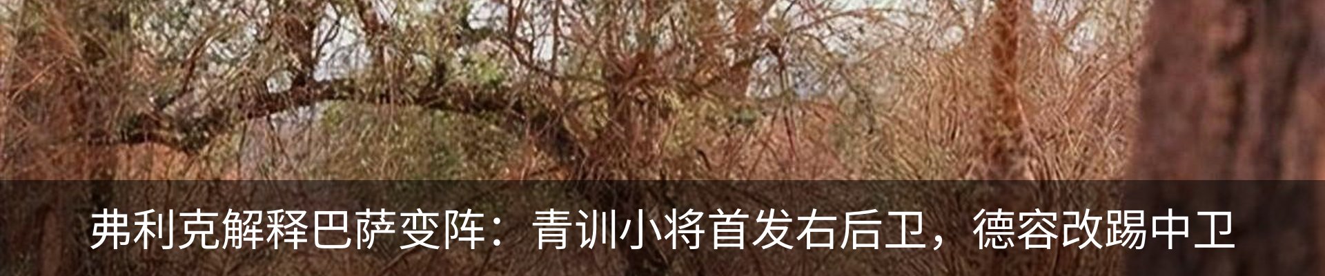 最新动态