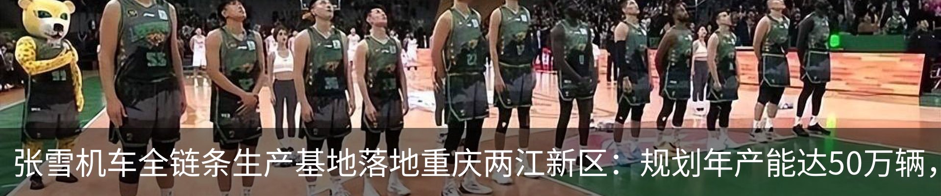 最新动态