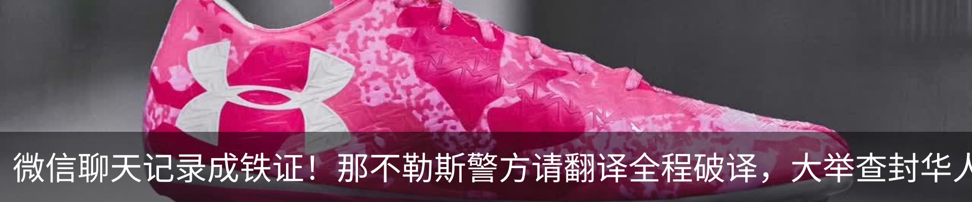 最新动态
