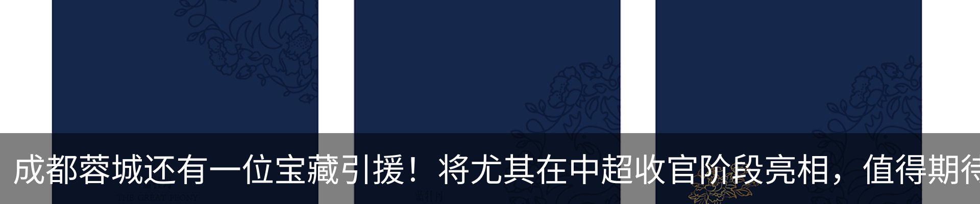 最新动态