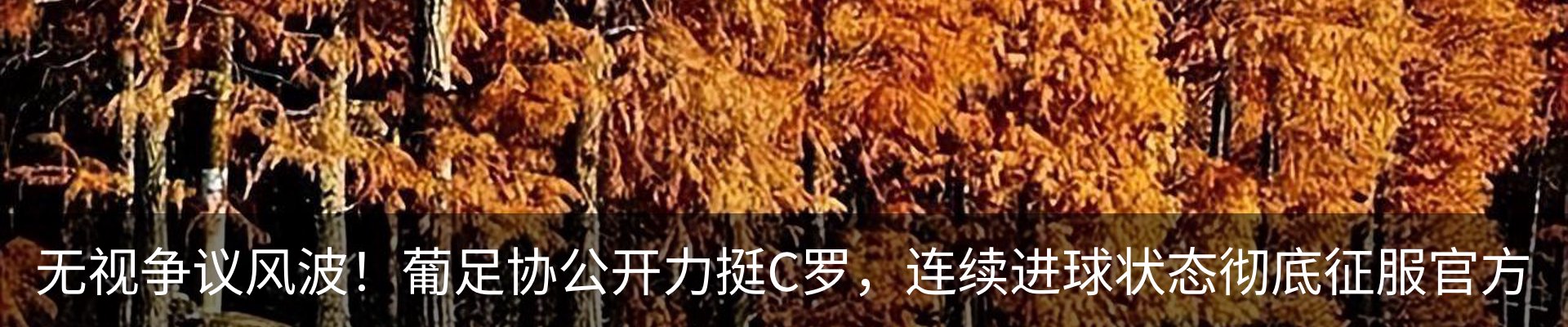 最新动态