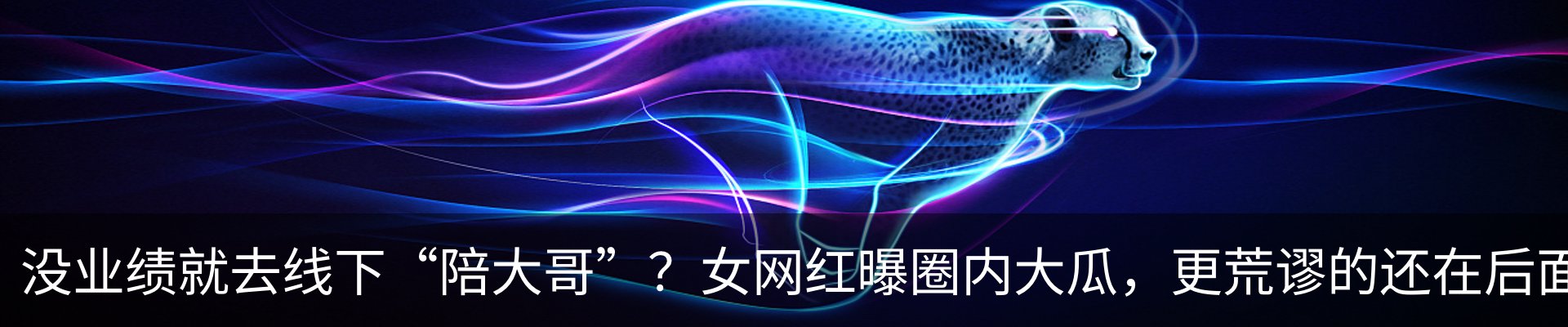 最新动态