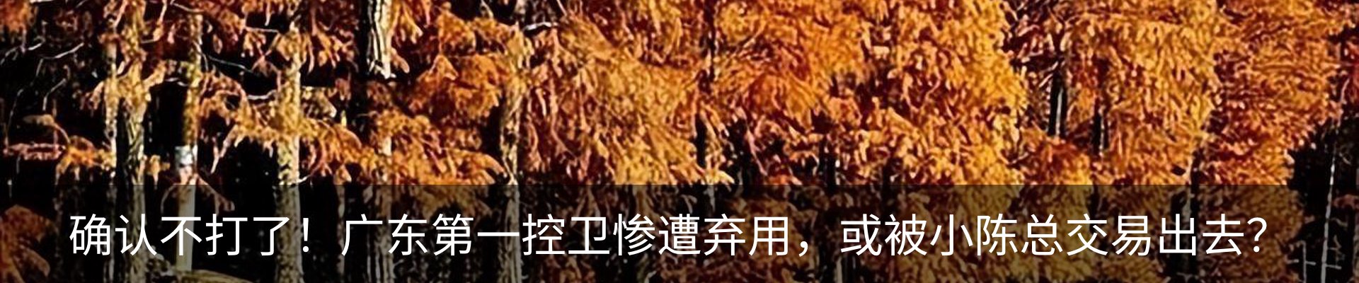 最新动态