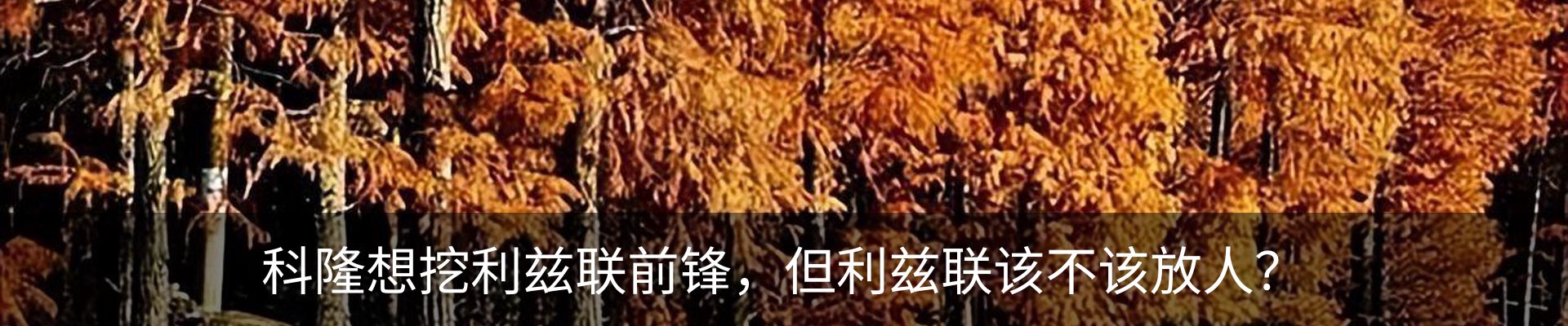 最新动态