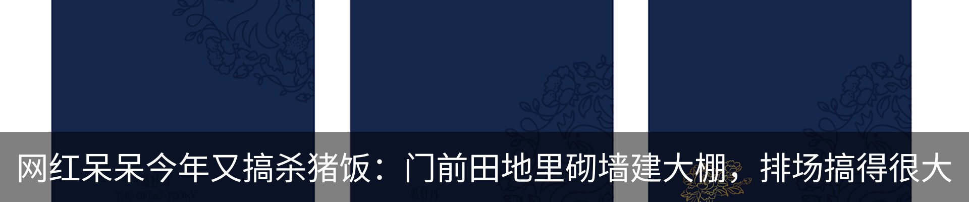最新动态