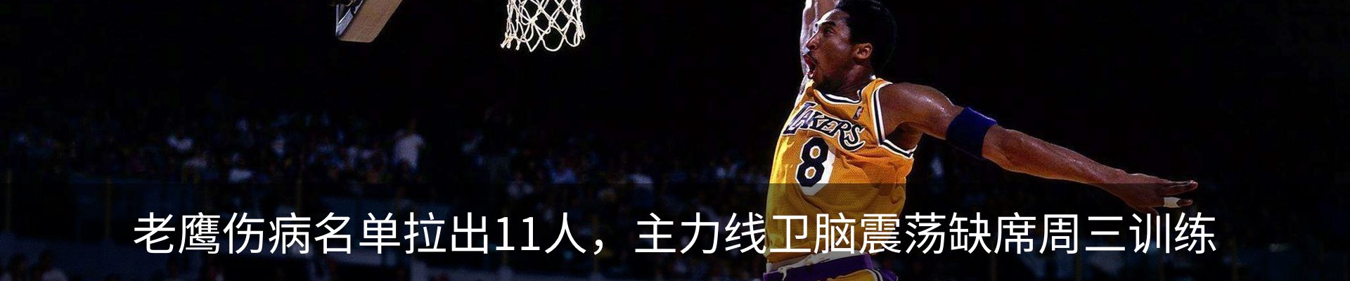 最新动态