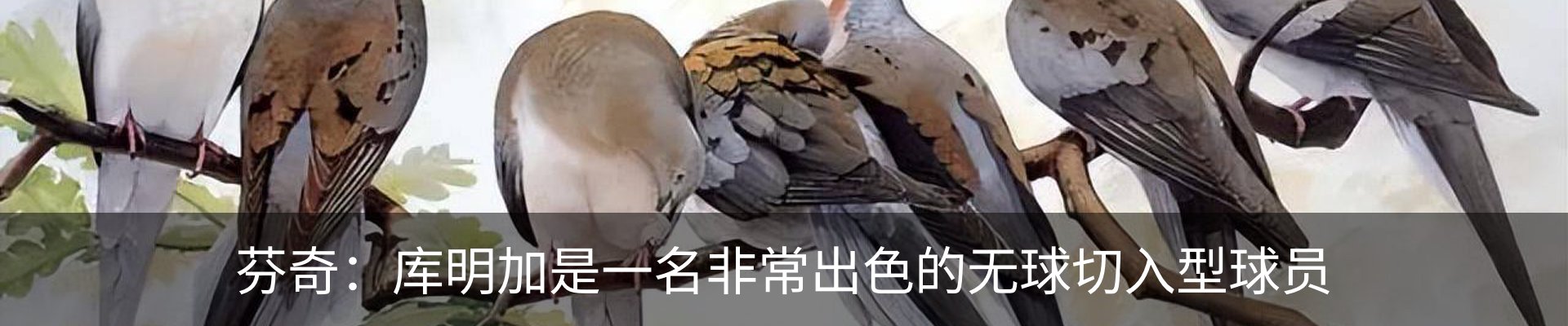 最新动态