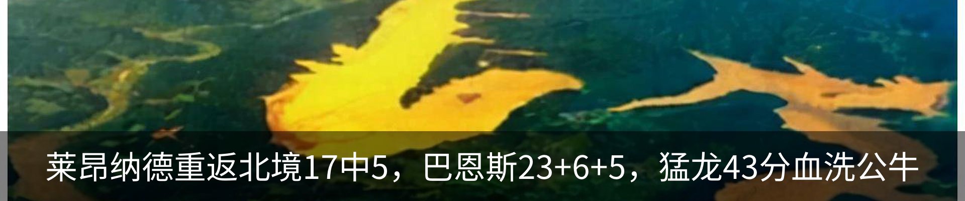 最新动态