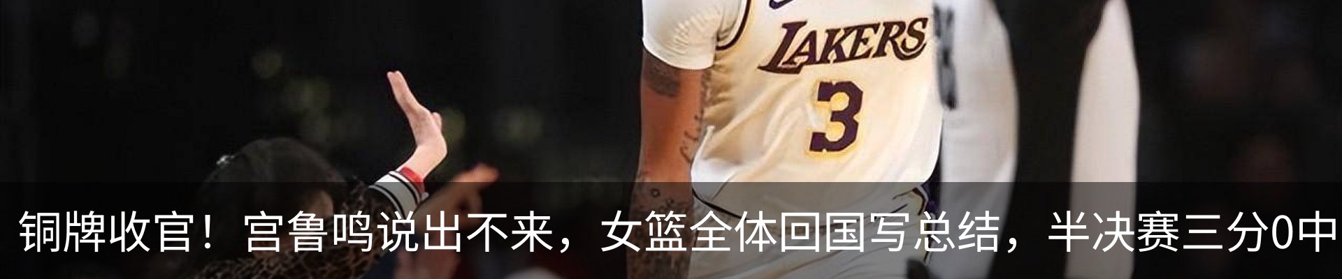 最新动态