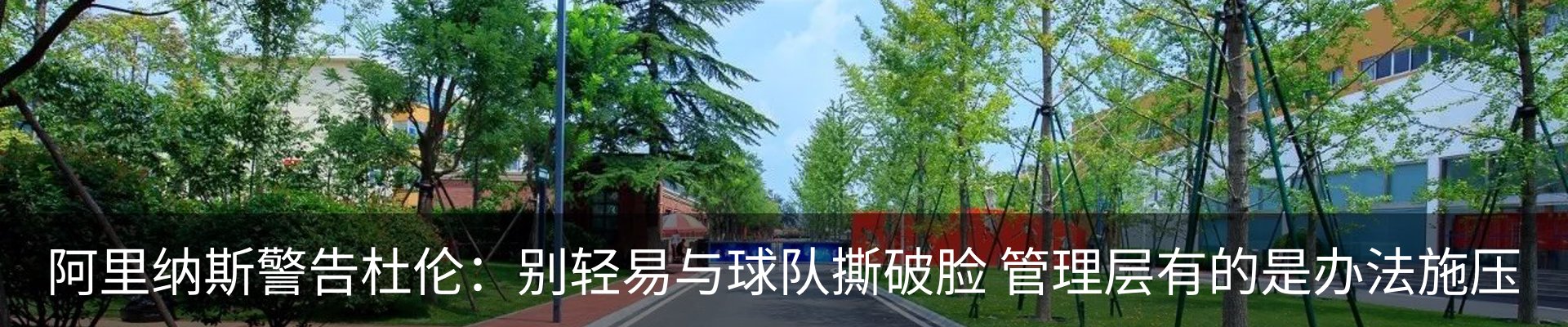 最新动态