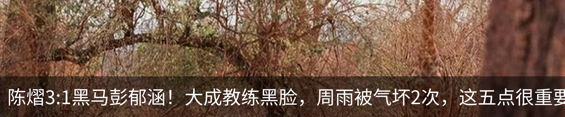 最新动态