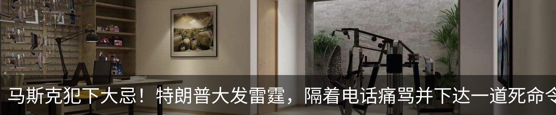 最新动态
