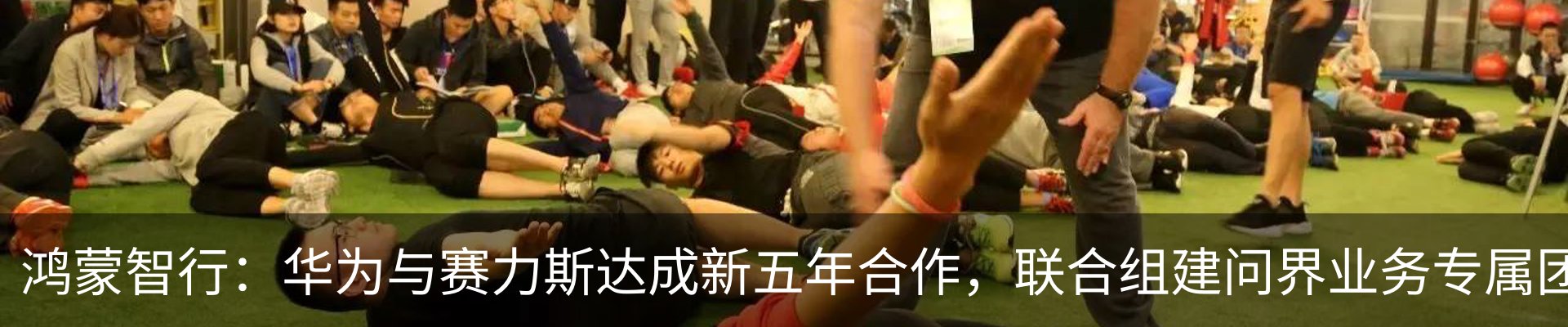 最新动态