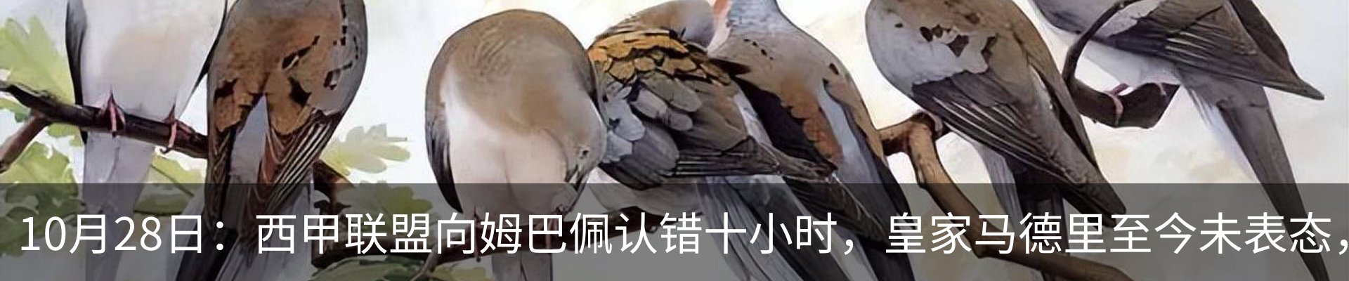 最新动态