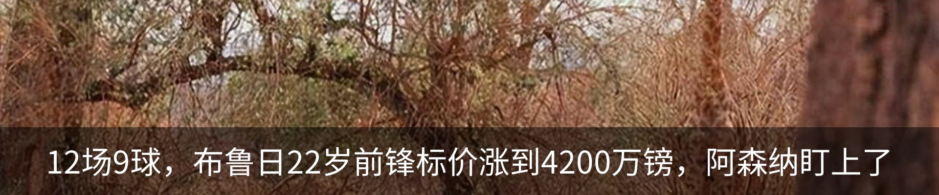 最新动态