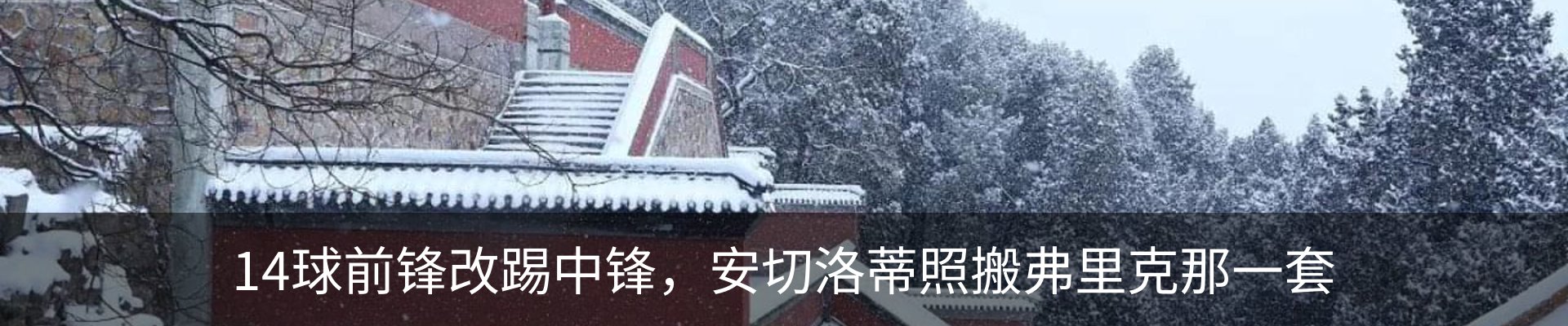 最新动态