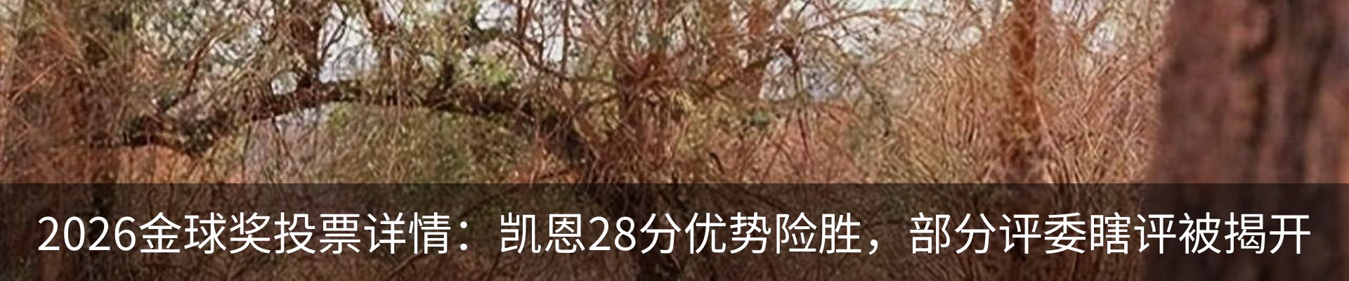 最新动态