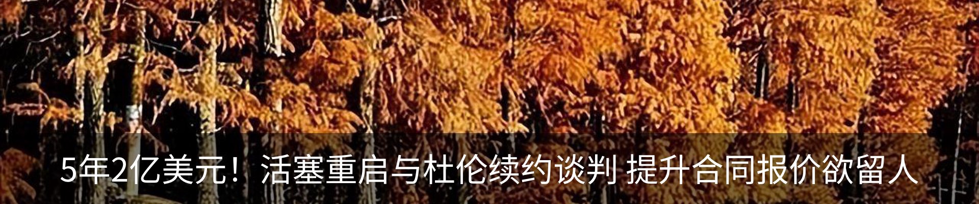 最新动态