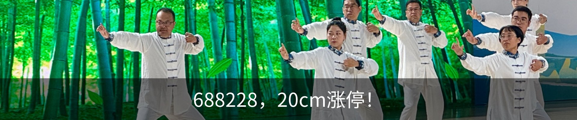 最新动态