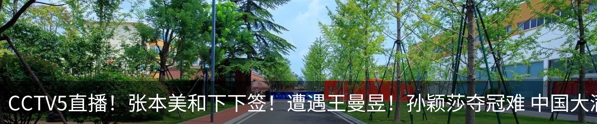 最新动态