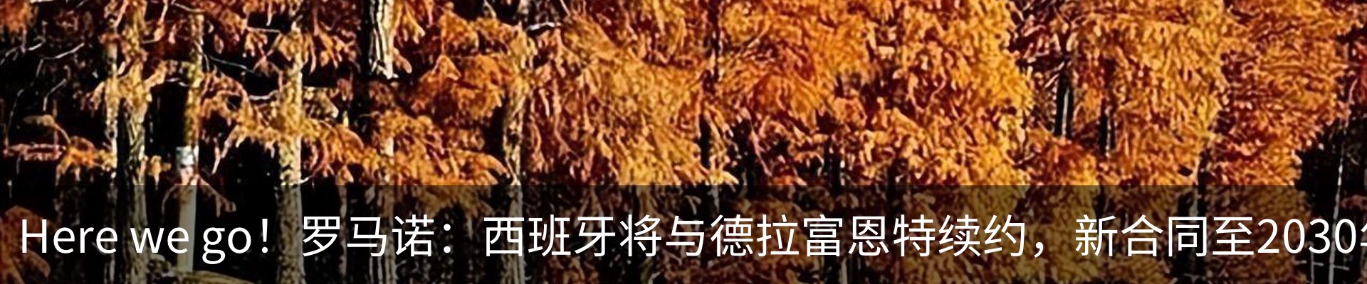 最新动态