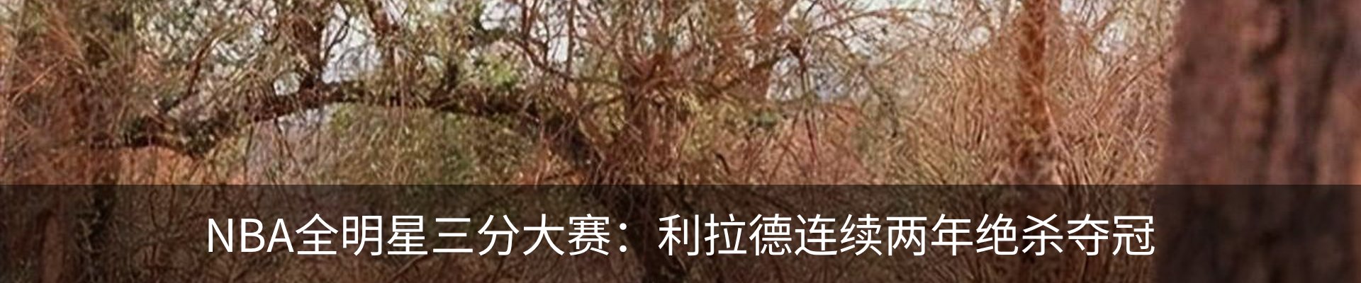 最新动态